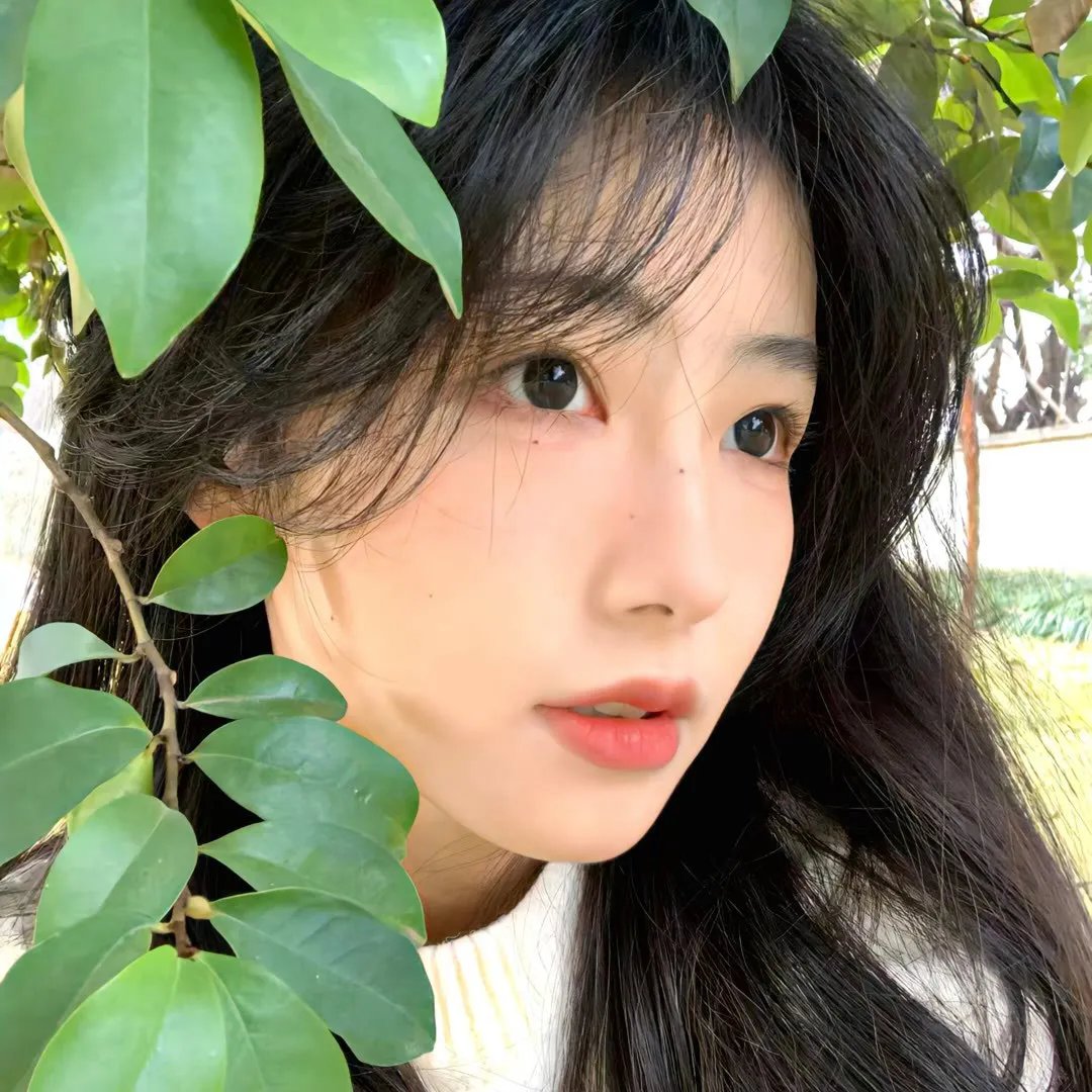 我的生存之道